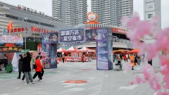 万达樱花节