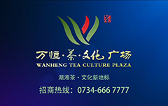 程达影视